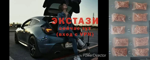 дживик Богородск