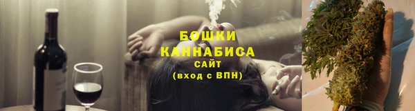 дживик Богородск