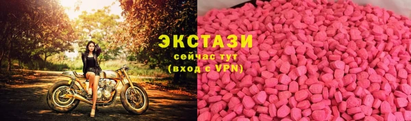 дживик Богородск