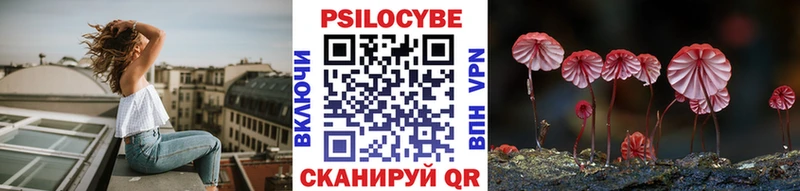 Галлюциногенные грибы Psilocybe  Котово 